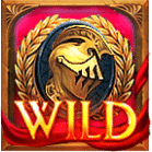 สัญลักษณ์ Wild